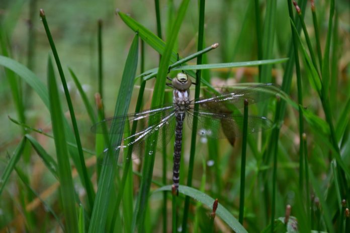 Czym skorupka nasiąknie, zajęcia Gorczański Park Narodowy (3)