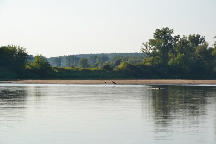 Spływy-Flisackie-Ulanów-9