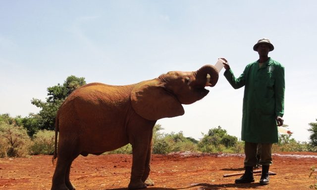Mapa ginącego świata