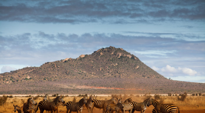 „Mapa ginącego świata” już wkrótce w TVP