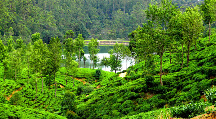 KONKURS: „Na tropie ginących gatunków”