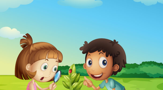 EDI ocenia wiedzę polskich uczniów