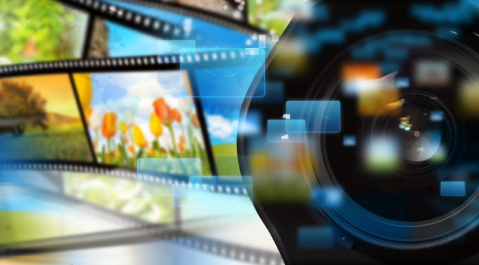 Festiwal Filmów Przyrodniczych w Łodzi