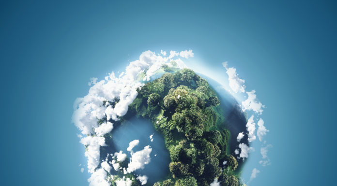 Światowy Dzień Ziemi – W kierunku natury