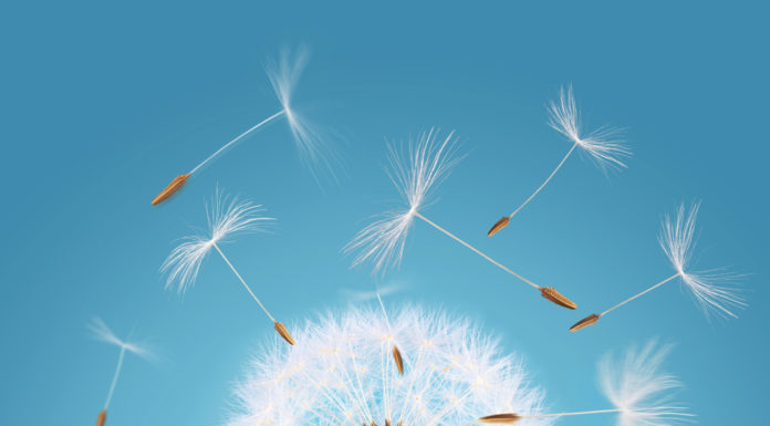 Piknik Ekologiczny w Pobiedziskach