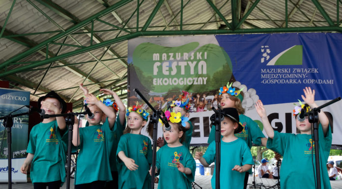 Efekt „Eko-Logiki” 2017