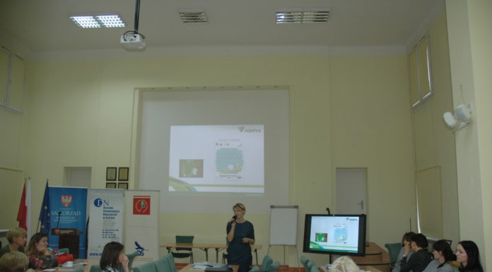 Śmieci w piecu – ogromny problem współczesnych miast