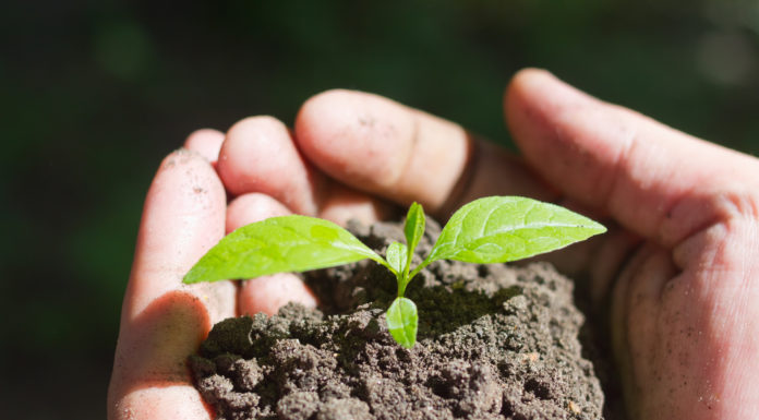 Dobiegniew edukuje mieszkańców