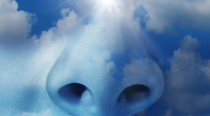 Luboń walczy ze smogiem