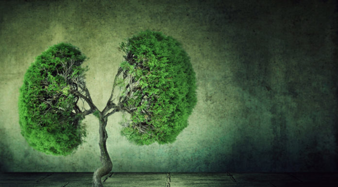 Zielone płuca Opola