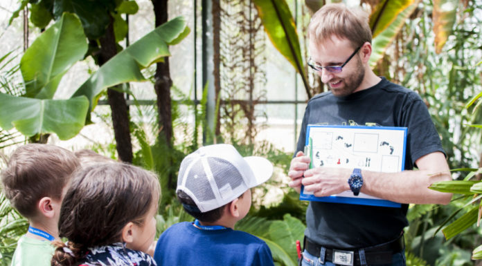 Jak uczyć dzieci ochrony środowiska?