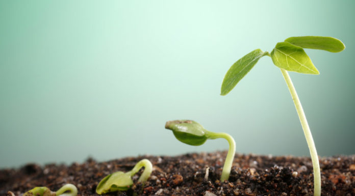 Nie bądź zielony! Segreguj bioodpady!