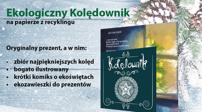 Ekologiczny kolędownik ? pomysł na oryginalny prezent