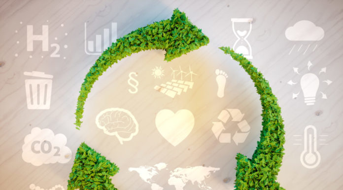 Wiele działań – wspólny cel