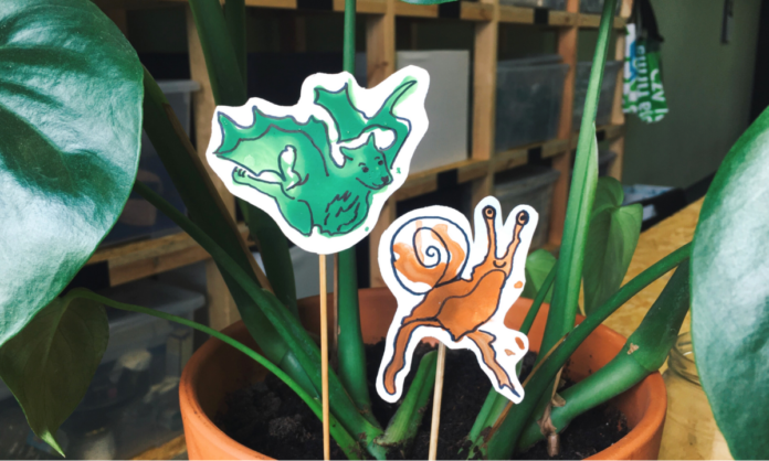 zdjęcia na ekoedu.com.pl