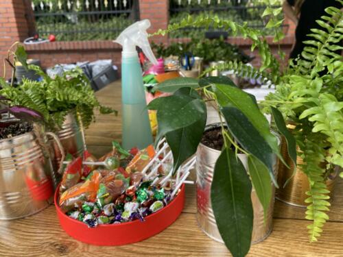 Rodzinny piknik w Opolu