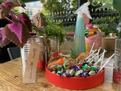 Rodzinny piknik w Opolu