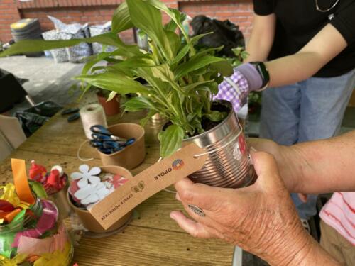 Rodzinny piknik w Opolu