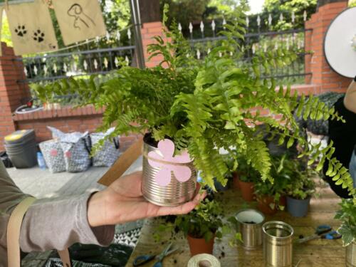 Rodzinny piknik w Opolu