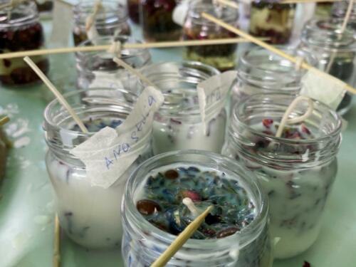 Rodzinny piknik w Opolu