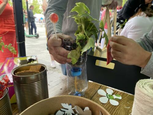 Rodzinny piknik w Opolu