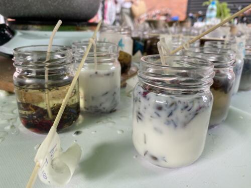 Rodzinny piknik w Opolu