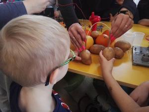 26994810 1539824942738047 890410666 n