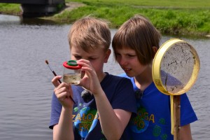 DSC_0139 (Kopiowanie) 