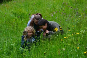 DSC_4657 (Kopiowanie) 