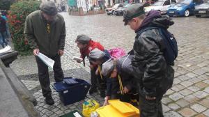 21931588 1481786035219950 690042894 o