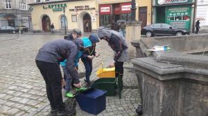 21952676 1481767348555152 724167039 o